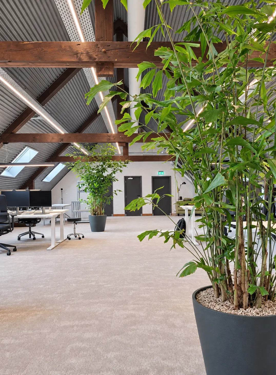 De zolder met originele houten spanten.