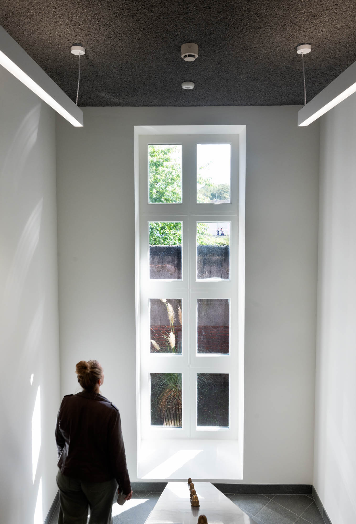 Een hoog venster dat daglicht en beplanting binnenhaalt.