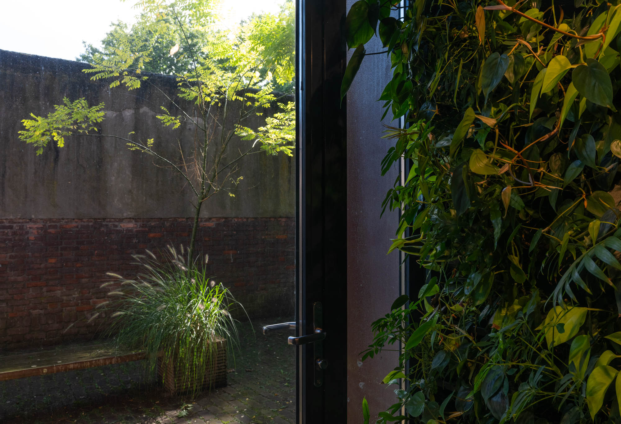 Doorkijk vanuit het interieur naar de omsloten binnenplaats.